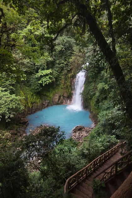 Las aguas del río Celeste, ubicado en el valle de Bijagua, son la principal razón para visitar el Parque Nacional Volcán tenorio y recorrer sus bosques nubosos.