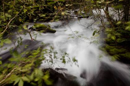 Las aguas del Rio da Prata en Bonito.