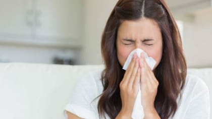 Las alergias afectan a un 30 por ciento de la población en grandes urbes