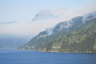 Por incumplimiento de deberes, piden la renuncia de la autoridad del Parque Nacional Los Alerces