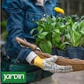 Qué aromáticas tenés que plantar hoy para un invierno con sabor
