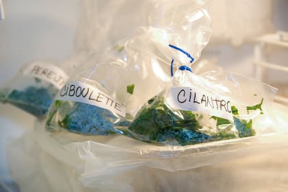 Las aromáticas se pueden embolsar para congelar