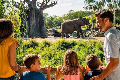 Las atracciones de Disney’s Animal Kingdom combinan naturaleza y diversión para toda la familia