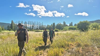 Las autoridades consiguieron conducirlo a un predio vallado