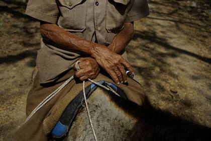 Las autoridades de Cuba han instado esta semana a potenciar la "tracción animal" para combatir la crisis de combustible