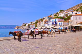 Grecia prohíbe a turistas con sobrepeso subirse a los burros