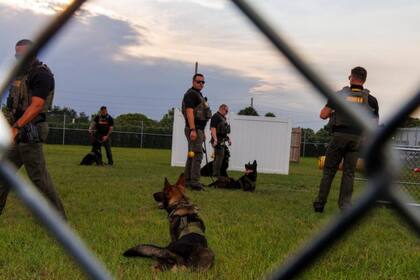 Las autoridades del condado de Miami realizaron la investigación y detuvieron al sospechoso