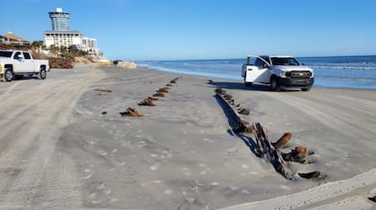 Las autoridades del condado de Volusia, en Florida, hallaron un extraño objeto en la playa