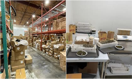 Las autoridades descubrieron un almacén ilegal de marihuana