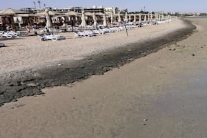 Egipto cierra sus playas luego de una serie de ataques de tiburones