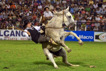 Las autoridades locales y organizadores del Festival Nacional de Doma y Folklore de Jesús María siguen de cerca la evolución de la enfermedad equina