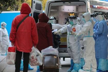 Las autoridades sanitarias de medio mundo trabajan contrarreloj para contener el virus