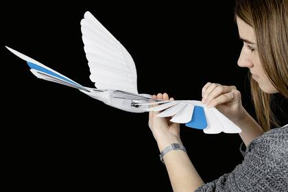 Las aves robóticas de Festo cuentan con estructuras livianas y resistentes, y el aleteo de BionicSwift busca aprovechar al máximo el desplazamiento del aire por sus alas y plumas artificiales