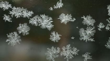Las bajas temperaturas no son suficientes para que se produzca una nevada, ya que también es necesaria la presencia de humedad