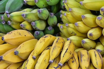 Las bananas maduras son peligrosas para las personas con diabetes debido a su alto índice glucémico
