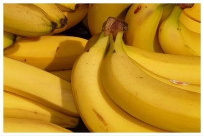 Las bananas son muy consumidas en Gran Bretaña y desde la empresa aseguran que solo cambiará su color, y no su sabor (Foto: Archivo)
