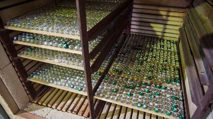 Las bandejas llenas de bolitas recién fabricadas