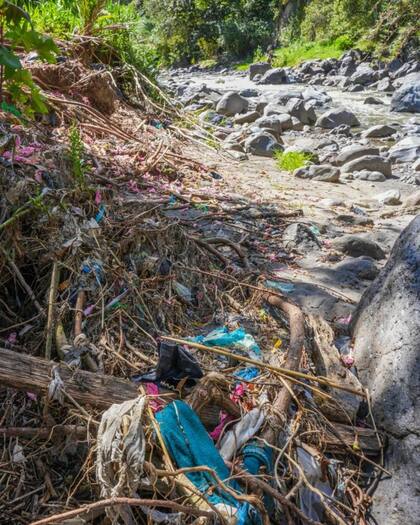 Las barreras no solo recogen plástico, sino también mucha materia vegetal invasora.