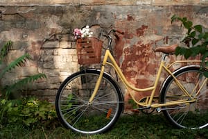 Si tenés una bicicleta vieja en casa, tenés un tesoro: los dos usos nuevos que le dan valor