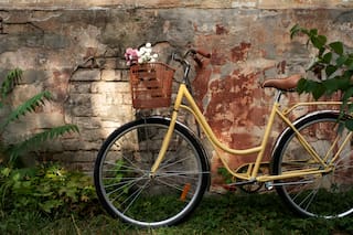 Si tenés una bicicleta vieja en casa, tenés un tesoro: los dos usos nuevos que le dan valor