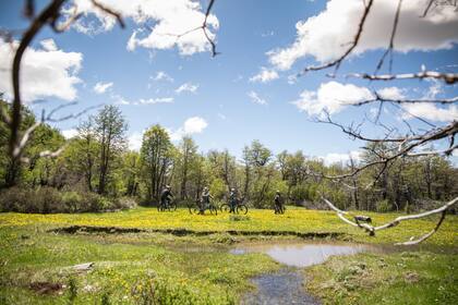 Las bicicletas son parte del menú de actividades.
