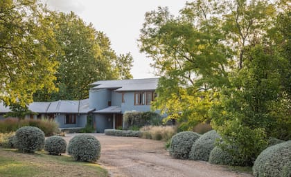 Las bochas de Teucrium fruticans dan la bienvenida a la casa, emulando el color y las formas de los afloramientos rocosos del lugar.