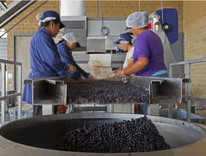 Las bodegas apuestan también por el enoturismo