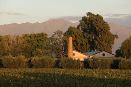 Las bodegas mendocinas pueden estimular los sentidos de las personas de Géminis (en foto: Bodegas Lagarde)