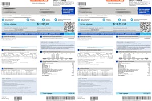 Las boletas subieron en algunos casos 900%, como le sucedió a un usuario de Metrogas, que duplicó su consumo de gas de 30 a 60 m3, y el costo fijo pasó de $399 a $6456 (1500%); en total, la boleta subió de $1029 a $10.716.