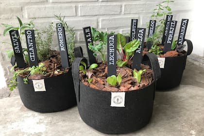 Las bolsas de cultivo con aromáticas y sus identificadores son uno de los grandes éxitos de Huertas & Co