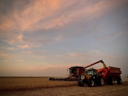 Las cadenas agrícolas: “Debemos abandonar definitivamente todo sistema de cuotas, trabas y permisos para exportar nuestros productos"