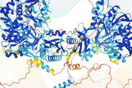 Las cadenas de aminoácidos de cada proteína se pliegan en una estructura tridimensional única. Y esa forma determina su función en el cuerpo humano