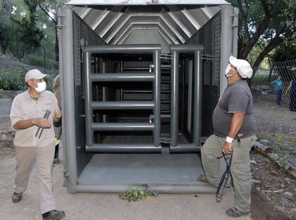 Las cajas para el traslado llegaron anteayer; cada una pesa cinco toneladas y mide 3,20 metros de altura