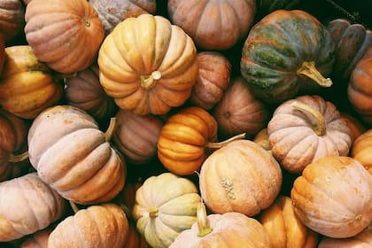 Las calabazas son uno de los frutos típicos del otoño en Estados Unidos