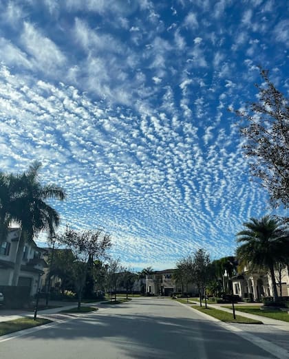 Las calles de Parkland se caracterizan por ser tranquilas