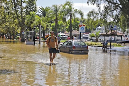 Las calles del centro de Tigre cubiertas de agua