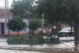 Video: así fue el momento del feroz temporal que azotó con vientos, lluvia y rayos a una localidad de Santiago del Estero