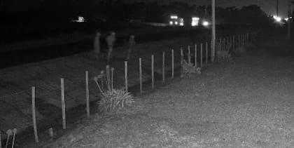 Las cámaras de seguridad captaron a tres personas ingresando a un feedlot de Baradero en medio de la creciente preocupación por la inseguridad rural