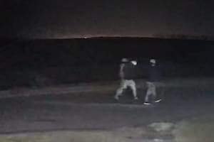Temor en un municipio bonaerense por robos en los campos y un impactante caso
