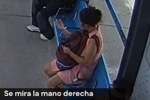 Los videos claves que incriminan a la empleada doméstica del ingeniero asesinado en La Delfina