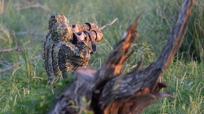 Las cámaras listas a la espera de un ciervo