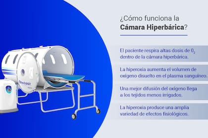 Las cámaras Revitalair 430 by Biobarica se pueden ubicar en consultorios, clínicas u hospitales sin ningún riesgo técnico ni terapéutico. Además, están certificadas por los entes reguladores más importantes, como ANMAT, CE y FDA