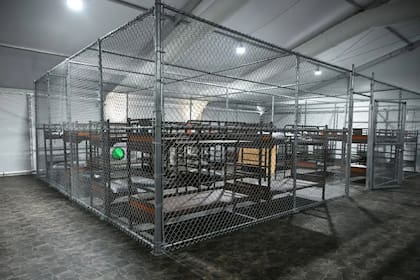 Las camas de los detenidos en el centro penitenciario Alligator Alcatraz están divididas por jaula