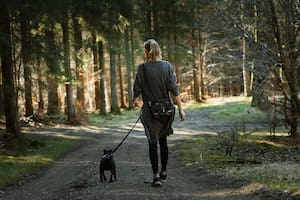 Baja el azúcar y combate el sedentarismo