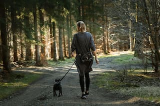 Baja el azúcar y combate el sedentarismo