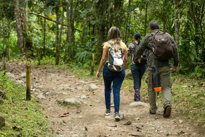 Las caminatas en entornos naturales mejoran tu salud, solo es suficiente con 20 minutos diarios