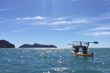 Las caminatas por Abel Tasman suelen combinarse con tramos en kayak