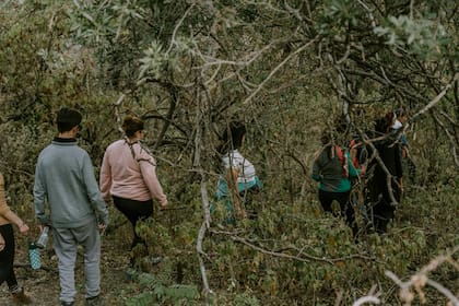 Las caminatas por el bosque son parte de la propuesta