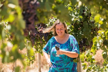 Las Cañas y sus viñedos, en Fiambalá.