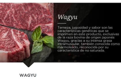 Las características de la carne de la raza Wagyu